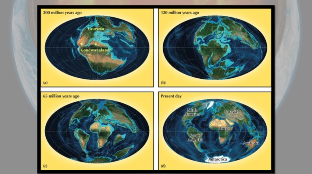 Plate Tectonics